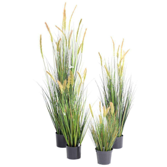 Plante artificielle Graminée Vulpin des champs Foxtail en pot - intérieur - H.150cm