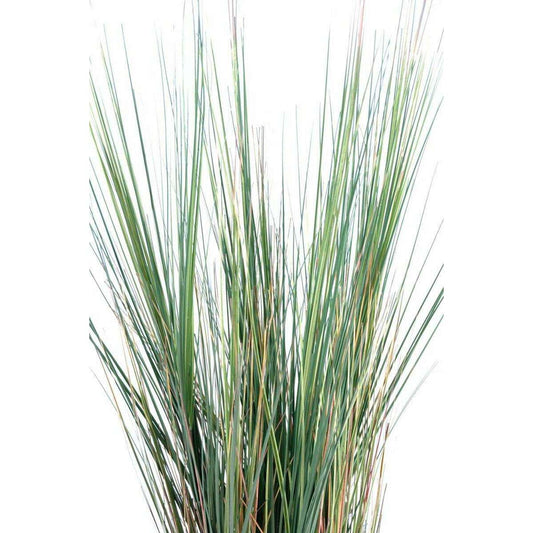 Plante artificielle Herbe luxe Onion Grass en pot - intérieur - H. 125cm vert jaune