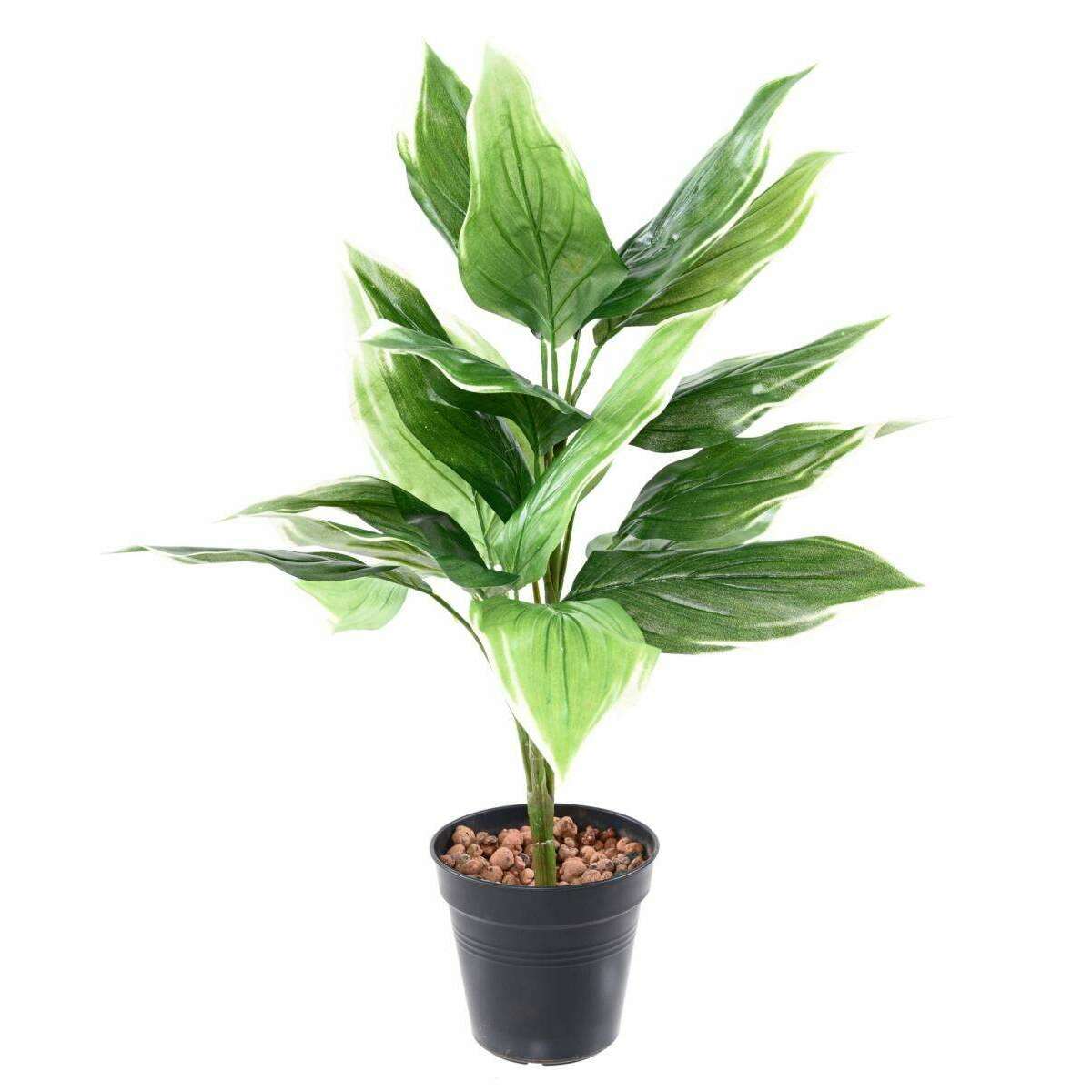 Plante artificielle Hosta en piquet - plante d'intérieur - H.60cm vert blanc - H2