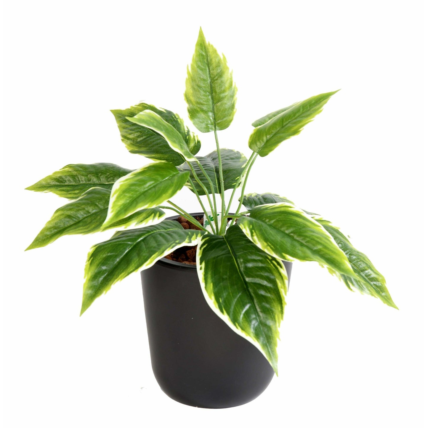 Plante artificielle Hosta mini en piquet - plante d'intérieur - H.30cm panaché