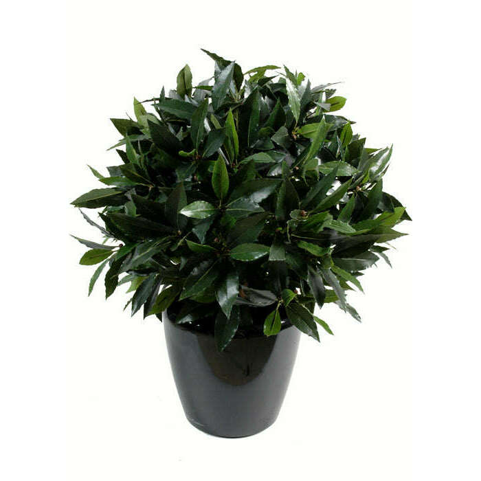 Plante artificielle Laurier boule luxe - plante synthétique - Ø.50cm