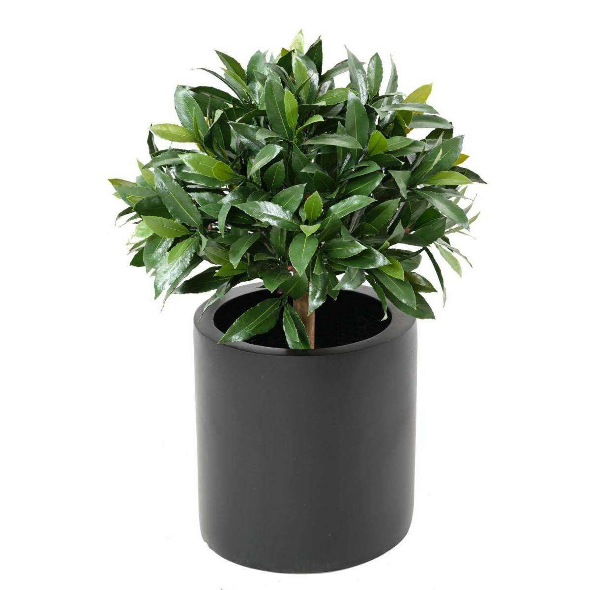 Plante artificielle Laurier boule Nobilis - feuillage UV résistant - H.50cm