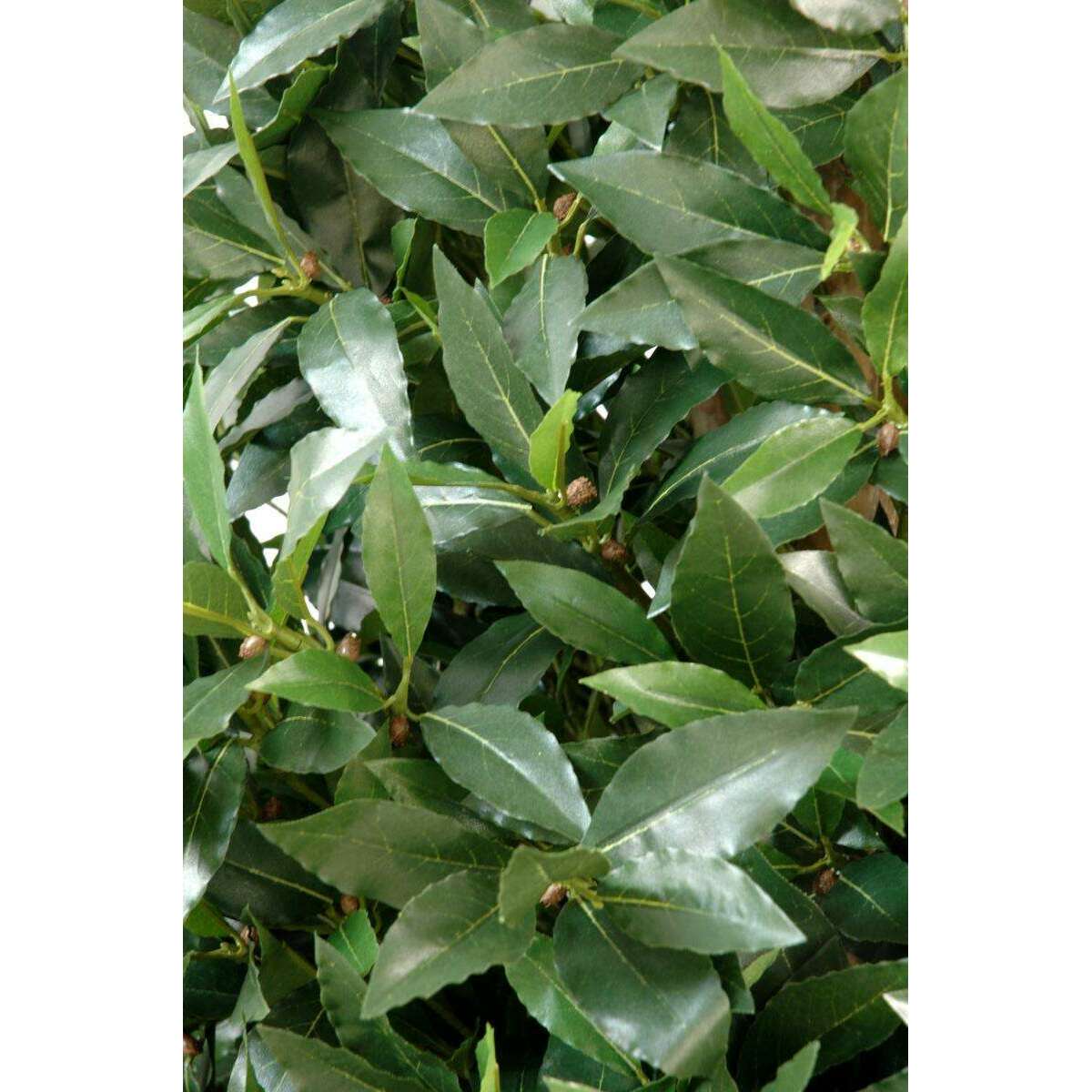 Plante artificielle Laurier topiaire large - plante d'intérieur - H.160cm vert