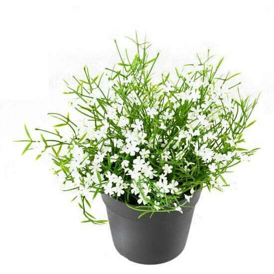 Plante artificielle Marguerite mini en pot - plante fleurie d'extérieur - H.20cm