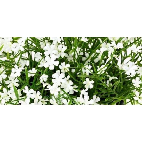 Plante artificielle Marguerite mini en pot - plante fleurie d'extérieur - H.20cm