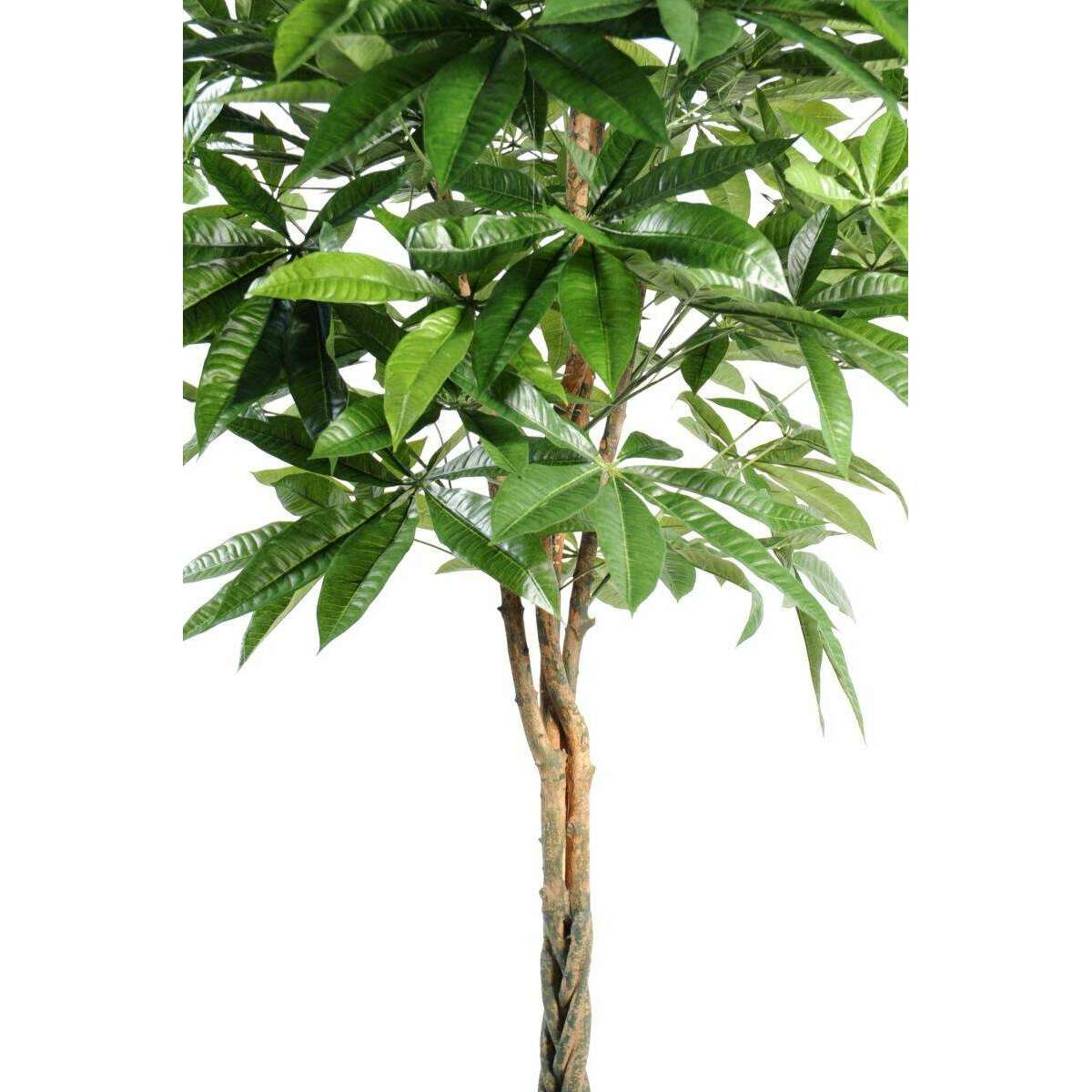 Plante artificielle Pachira tressé - arbre pour intérieur - H.180cm