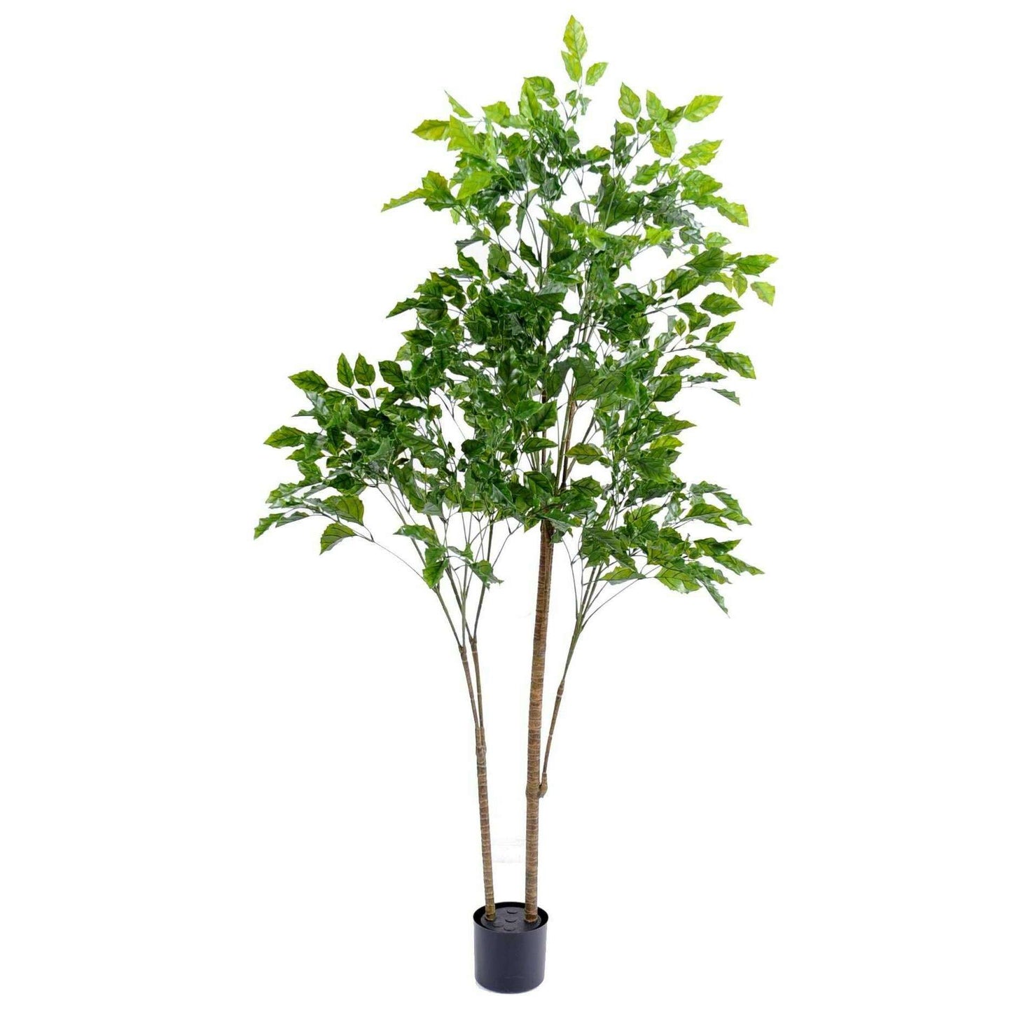 Plante artificielle Palissandre résistant UV - décoration d'extérieur - H.175cm vert