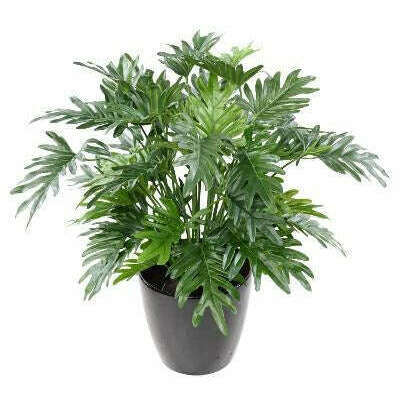 Plante artificielle Philodendron Selloum - plante d'intérieur - H.75cm vert