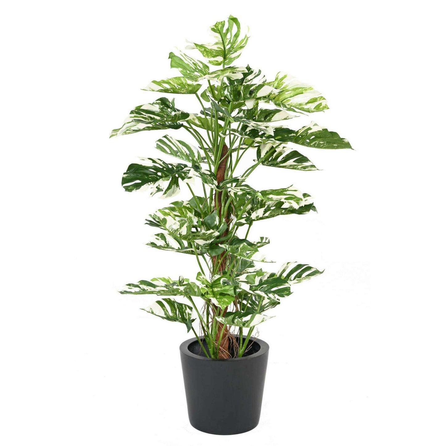 Plante artificielle Philodendron tuteur coco - plante d'intérieur - H.160cm panaché - P