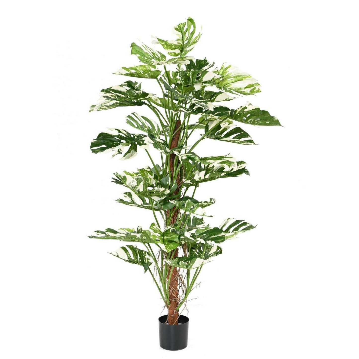 Plante artificielle Philodendron tuteur coco - plante d'intérieur - H.160cm panaché - P