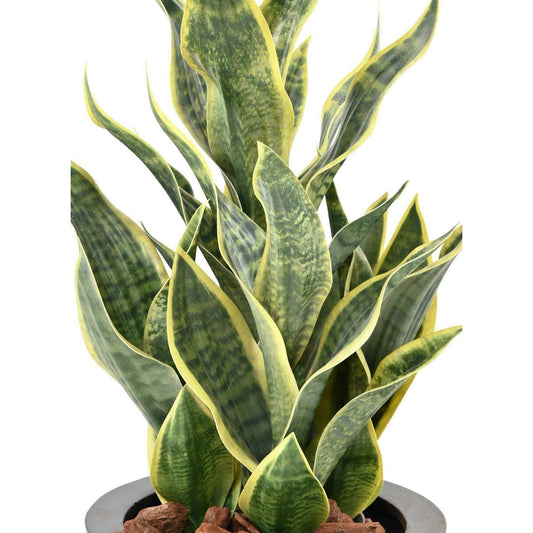 Plante artificielle Sansevieria Masoniana - décoration d'intérieur - H.66cm vert jaune