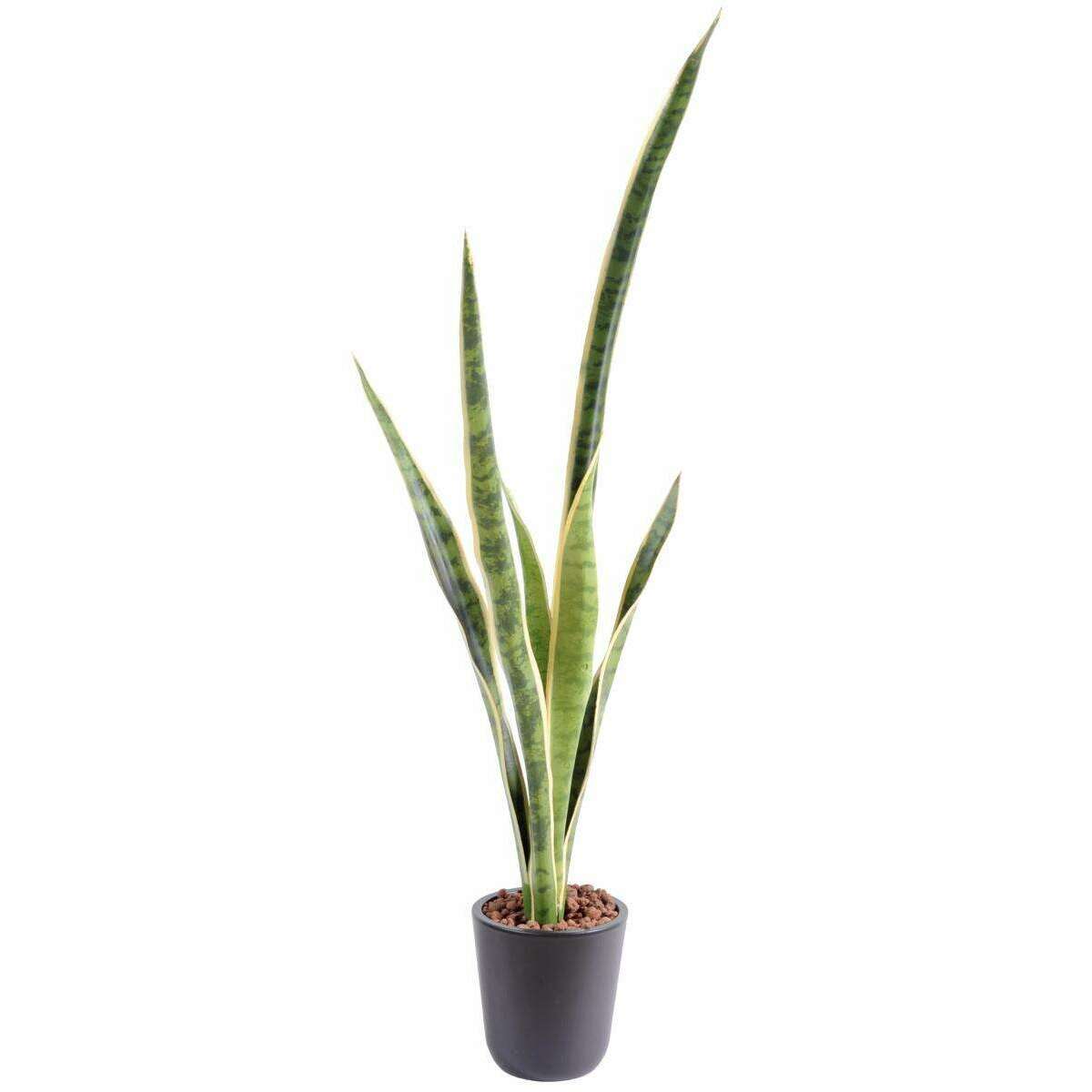 Plante artificielle Sansevieria piquet - succulente pour intérieur - H. 105cm vert jaune