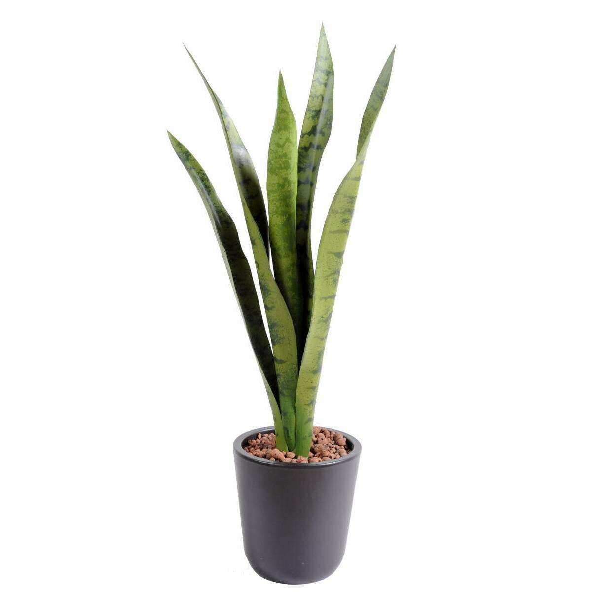 Plante artificielle Sansevieria piquet - succulente pour intérieur - H. 60cm vert N1