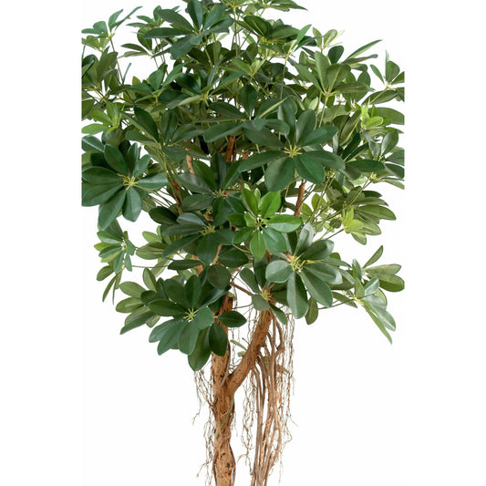 Plante artificielle Schefflera baby tree - décoration d'intérieur - H.150cm vert