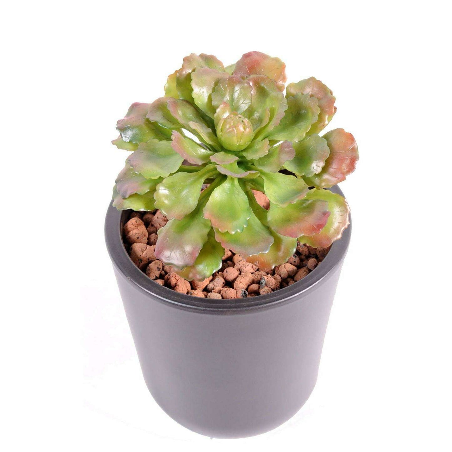Plante artificielle Succulente - Plante grasse d'intérieur - H.19cm