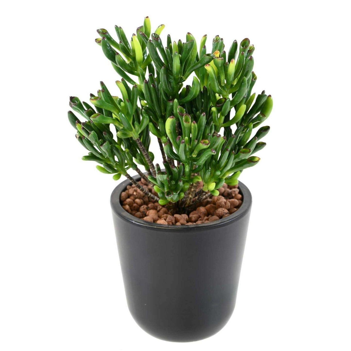 Plante artificielle Succulente Mini - cactus artificiel extérieur - H.30cm L1