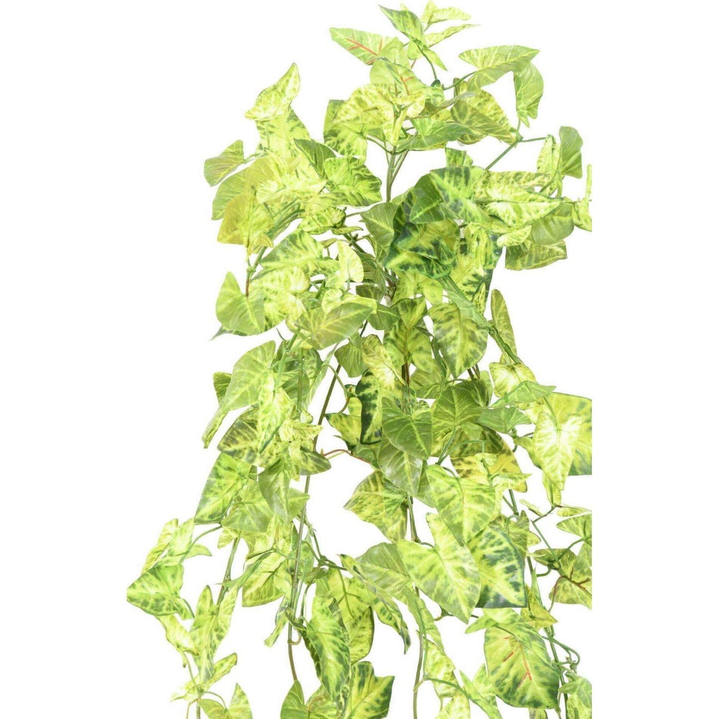 Plante artificielle Syngonium en piquet - décoration d'intérieur - H.80cm panaché