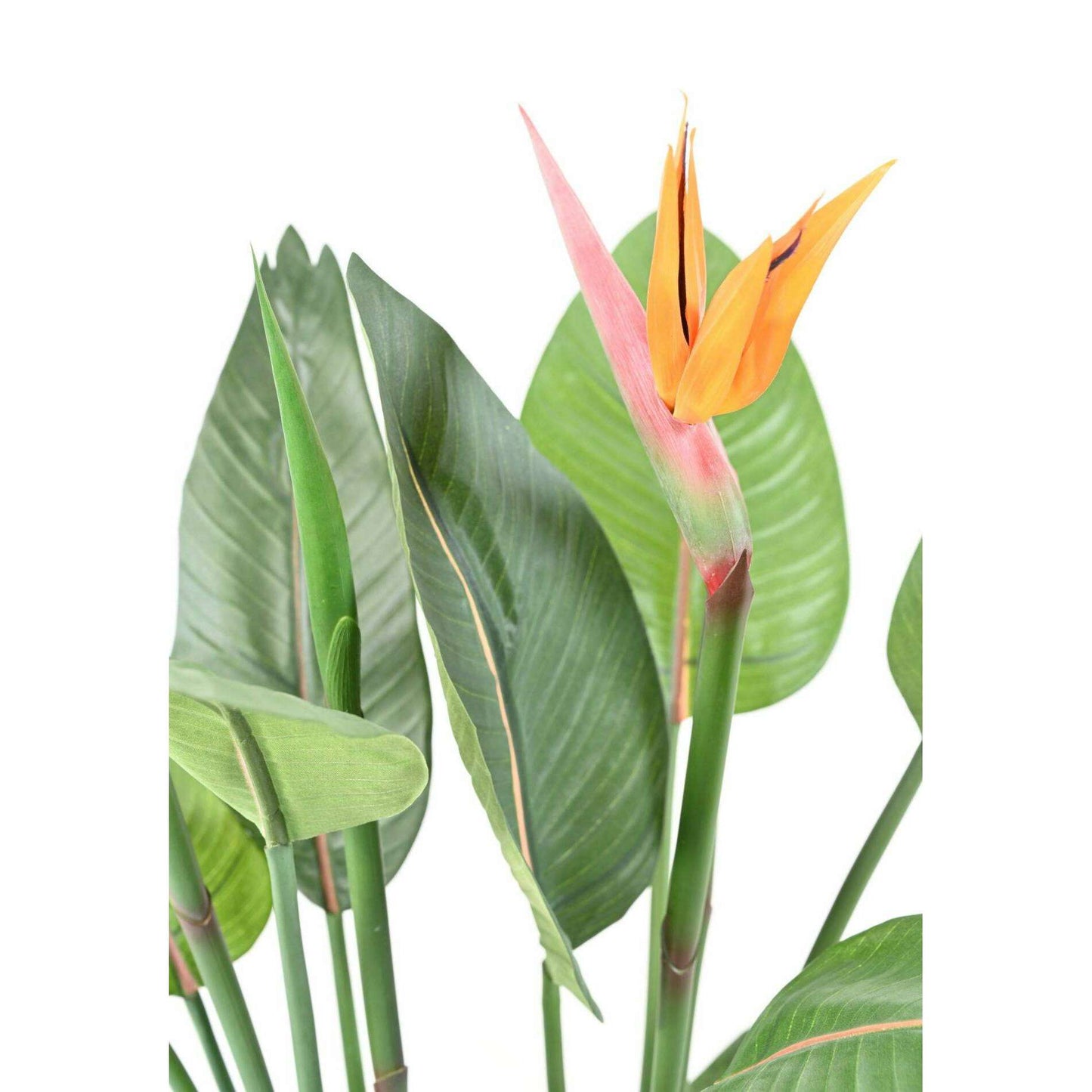 Plante artificielle tropicale Strelitzia 2 fleurs 2 boutons - décoration d'intérieur - H.110cm