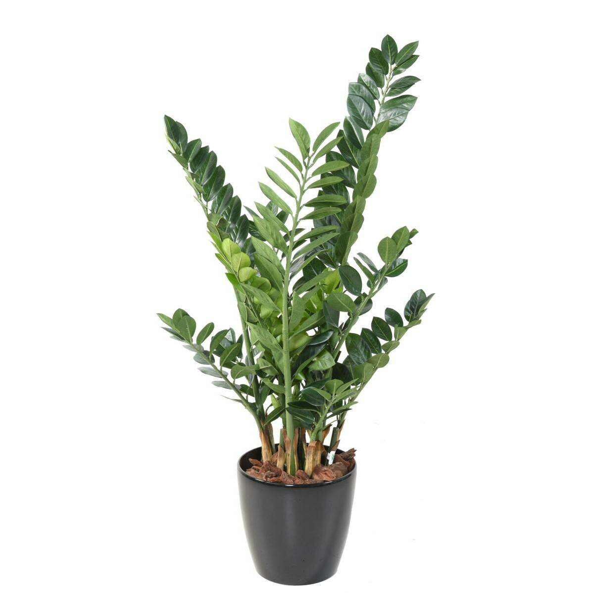 Plante artificielle verte Zamioculcas - décoration pour intérieur - H.110cm Z