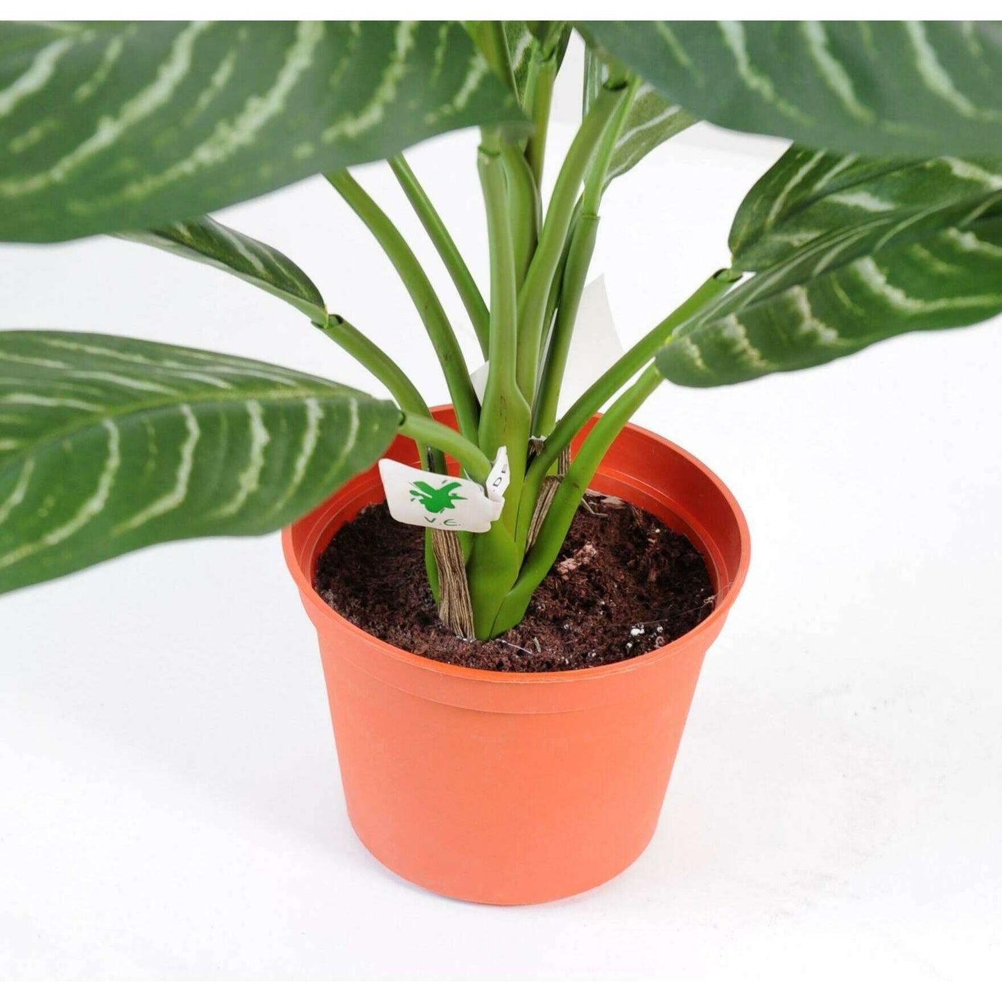 Plante artificielle Xanthosoma en pot - plante verte d'intérieur - H.45cm panaché