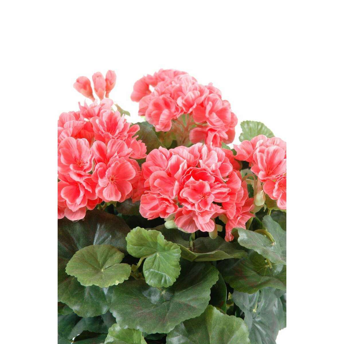Plante fleurie artificielle - Géranium en piquet - H.35 cm saumon