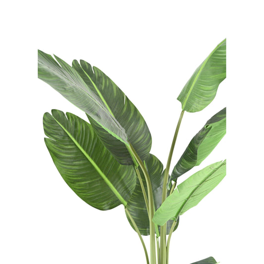 Plante tropicale artificielle Arbre du voyageur - plante d'intérieur - H.150cm