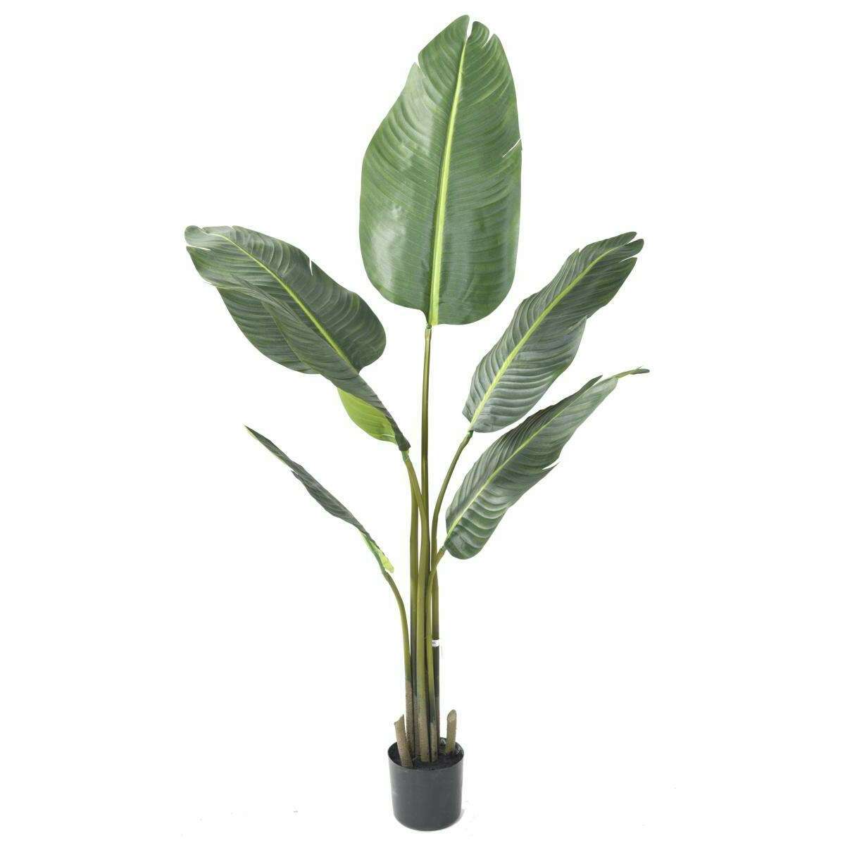 Plante tropicale artificielle Arbre du voyageur - plante intérieur - H.135cm