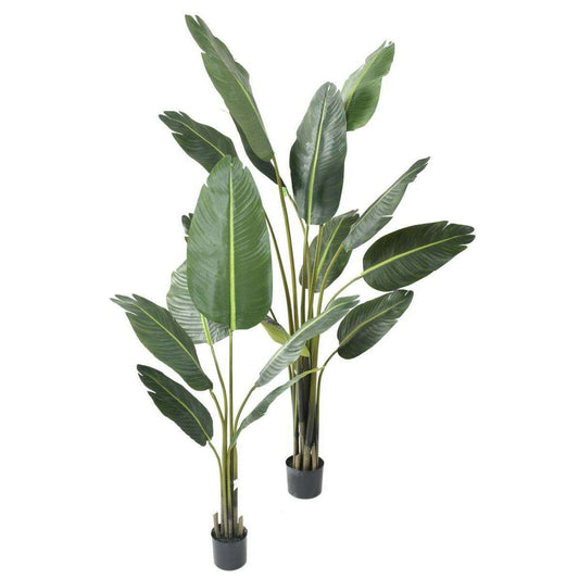 Plante tropicale artificielle Arbre du voyageur - plante intérieur - H.195cm