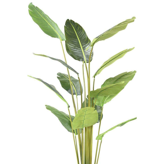 Plante tropicale artificielle Arbre du voyageur - plante intérieur - H.220cm