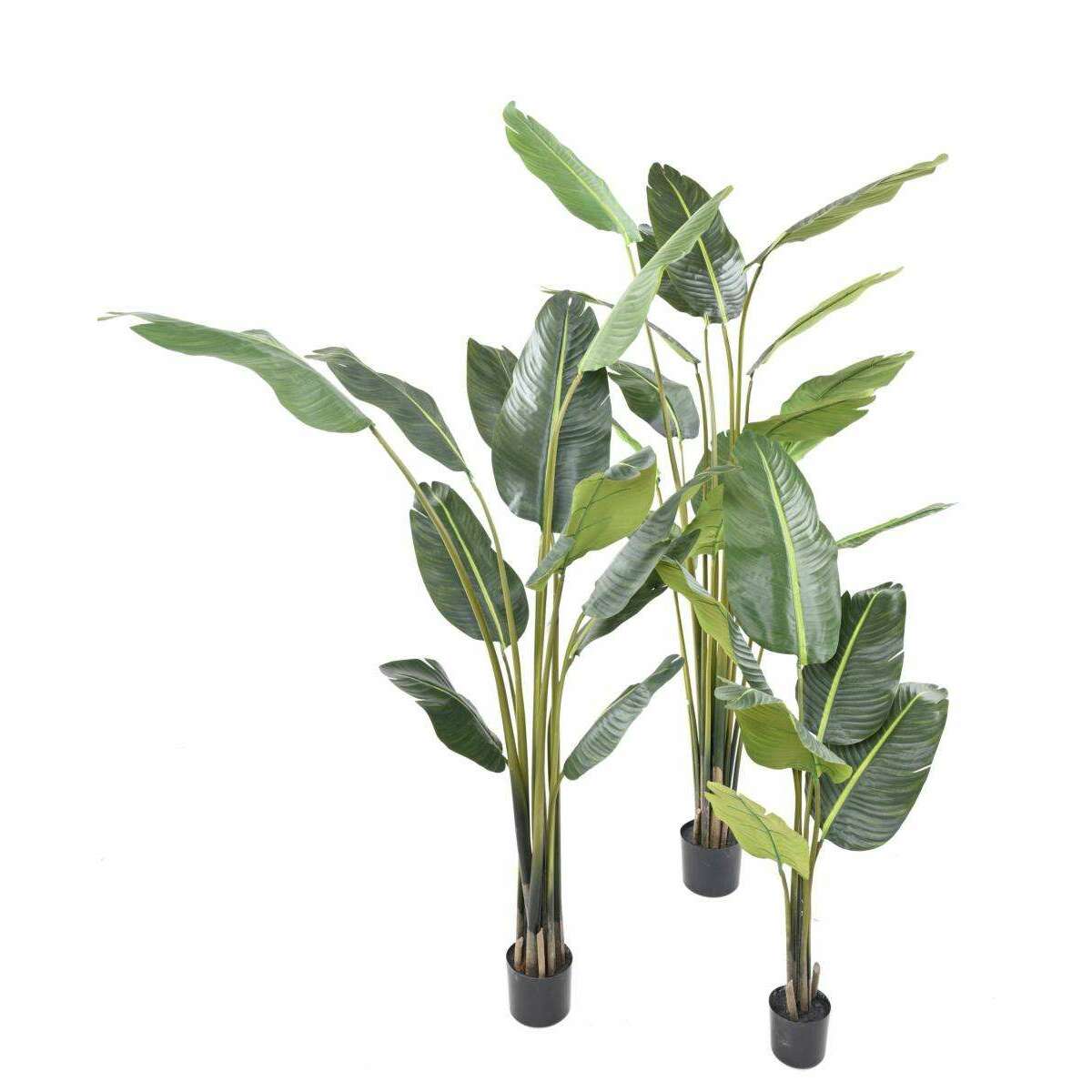 Plante tropicale artificielle Arbre du voyageur - plante intérieur - H.220cm