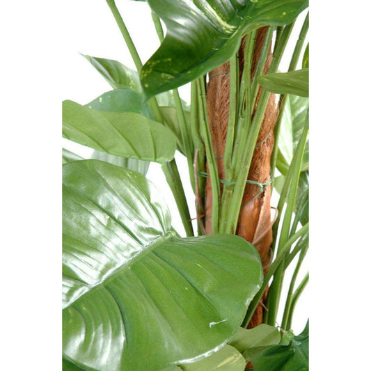 Plante verte artificielle Pothos géant tuteur coco - intérieur - H.150cm