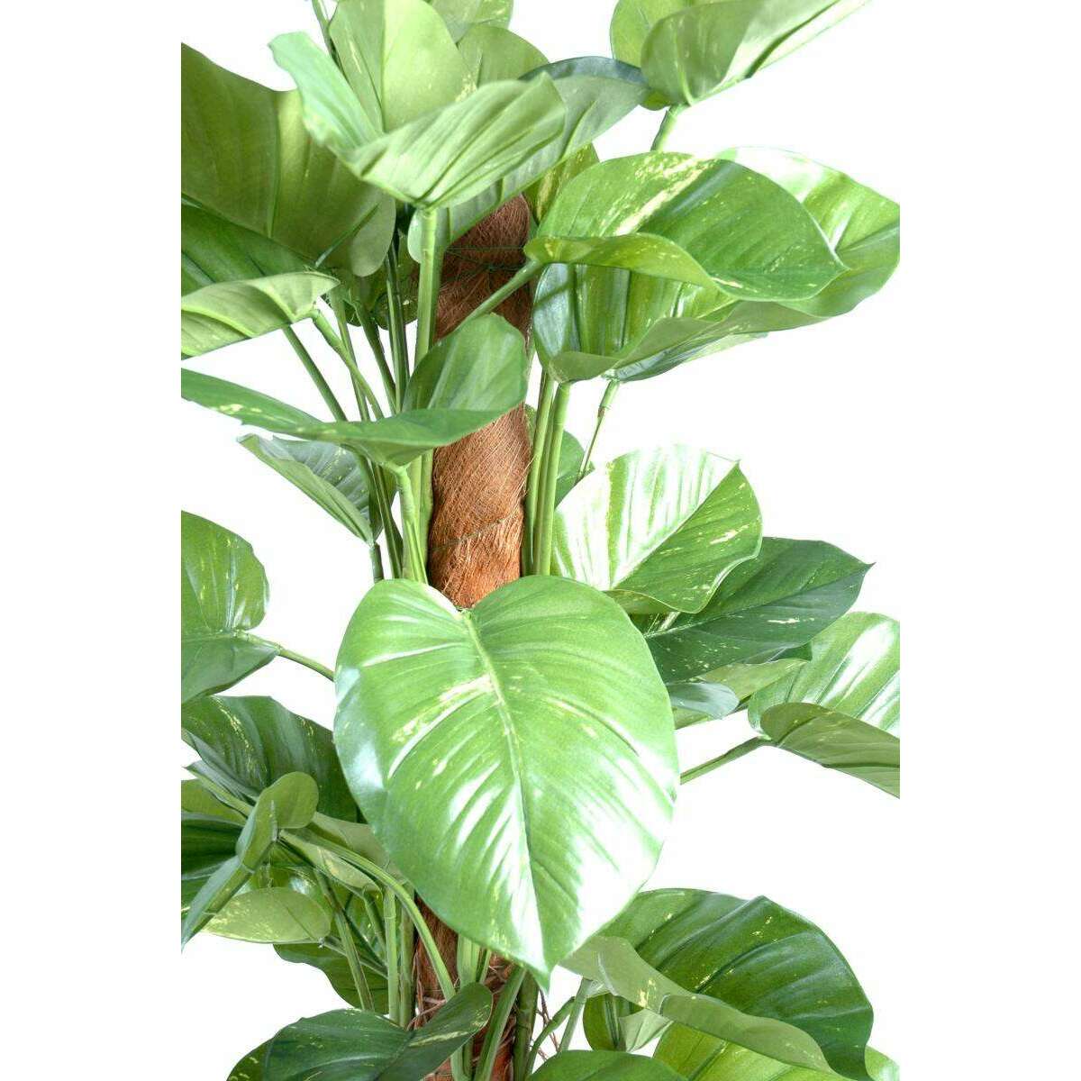 Plante verte artificielle Pothos géant tuteur coco - intérieur - H.150cm
