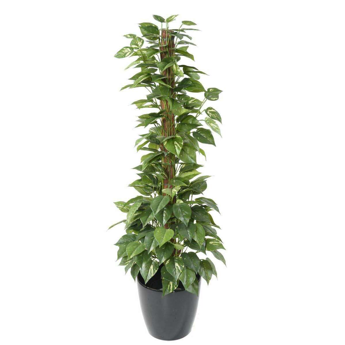 Plante verte artificielle Pothos tuteur - plante d'intérieur - H.130cm - P