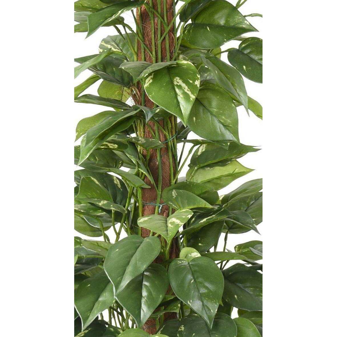 Plante verte artificielle Pothos tuteur - plante d'intérieur - H.130cm - P
