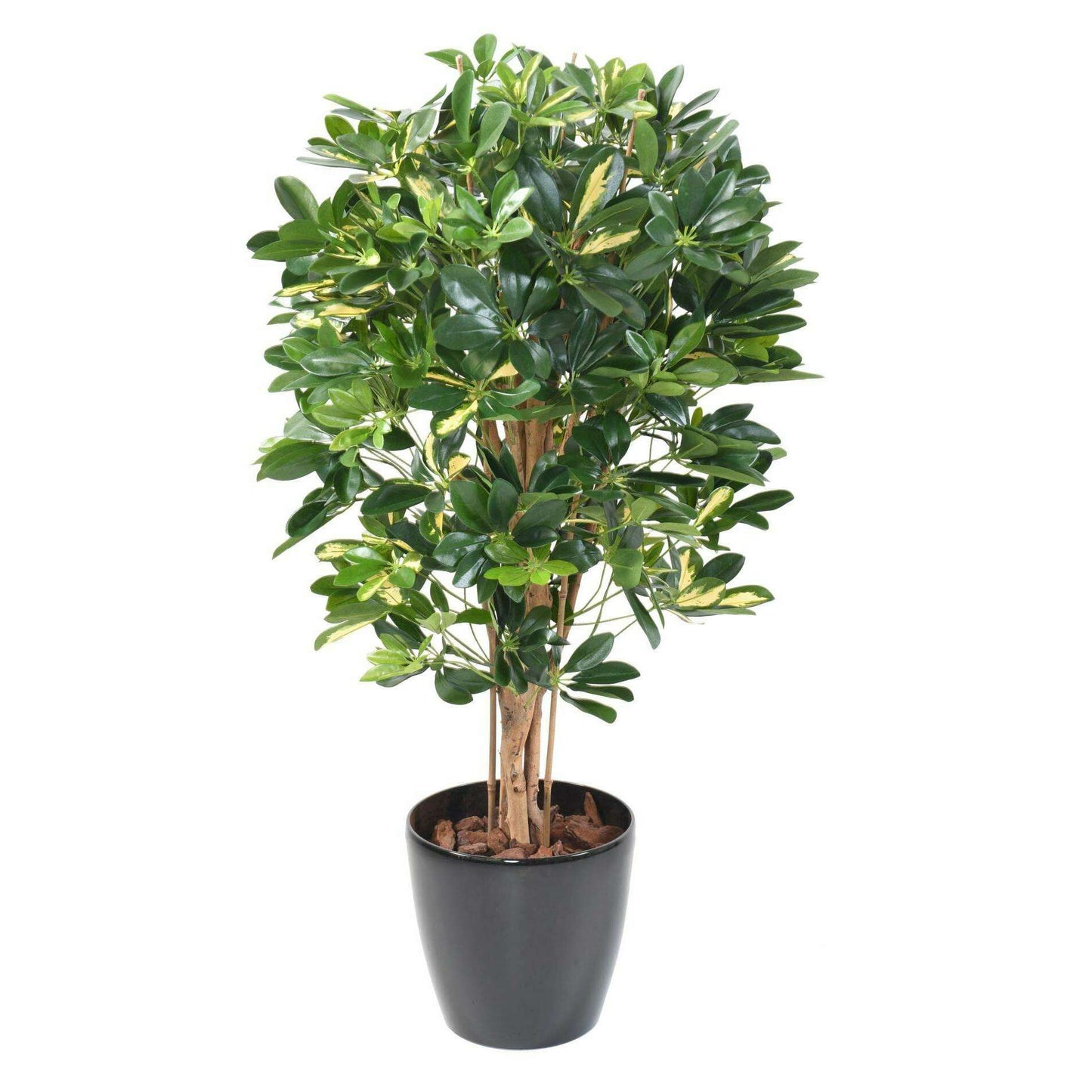 Plante verte artificielle Schefflera - décoration d'intérieur - H.110cm panaché
