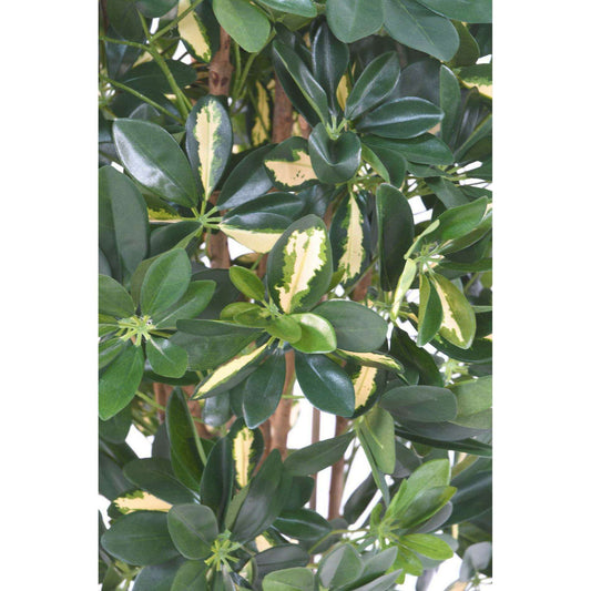 Plante verte artificielle Schefflera - décoration d'intérieur - H.150cm panaché