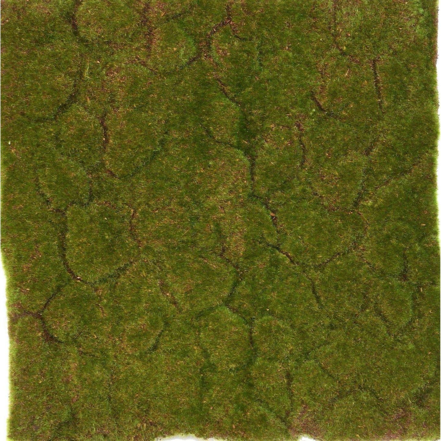 Plaque Mousse artificielle - décoration murale - 50x50cm vert