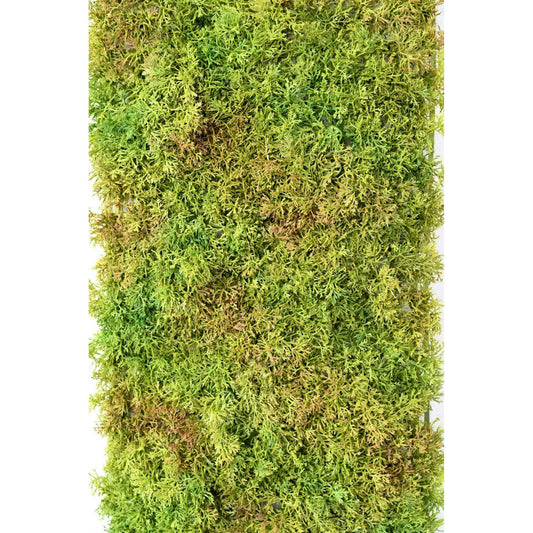 Plaque Mousse artificielle anti-UV - mur végétal intérieur extérieur - L.50x25cm vert - C1