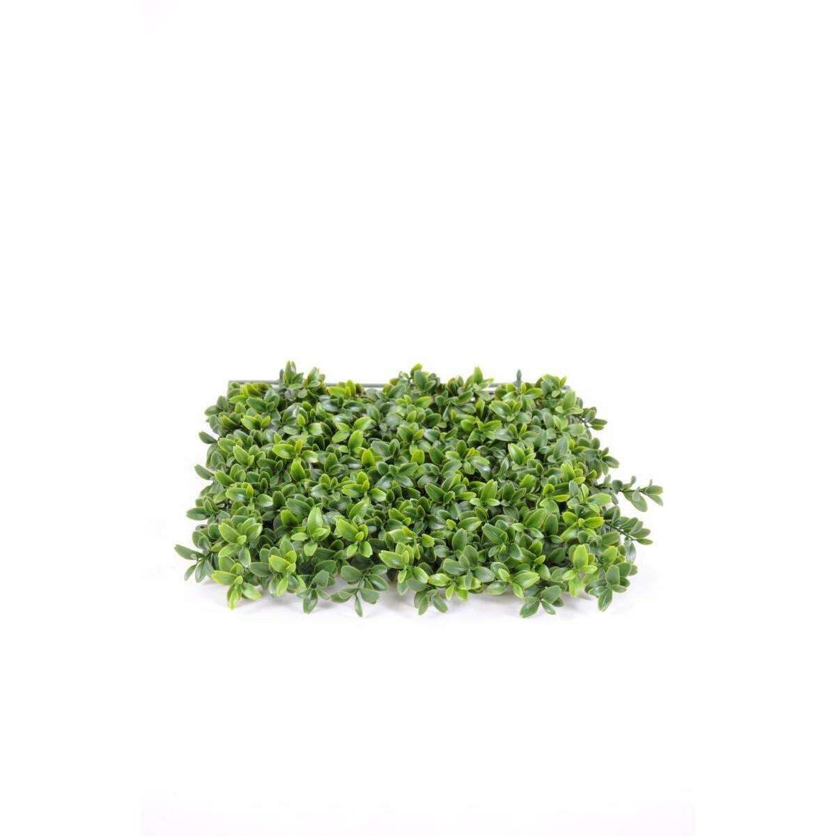 Plaque végétale artificielle Buis - feuilles UV résistant - 25x25cm vert