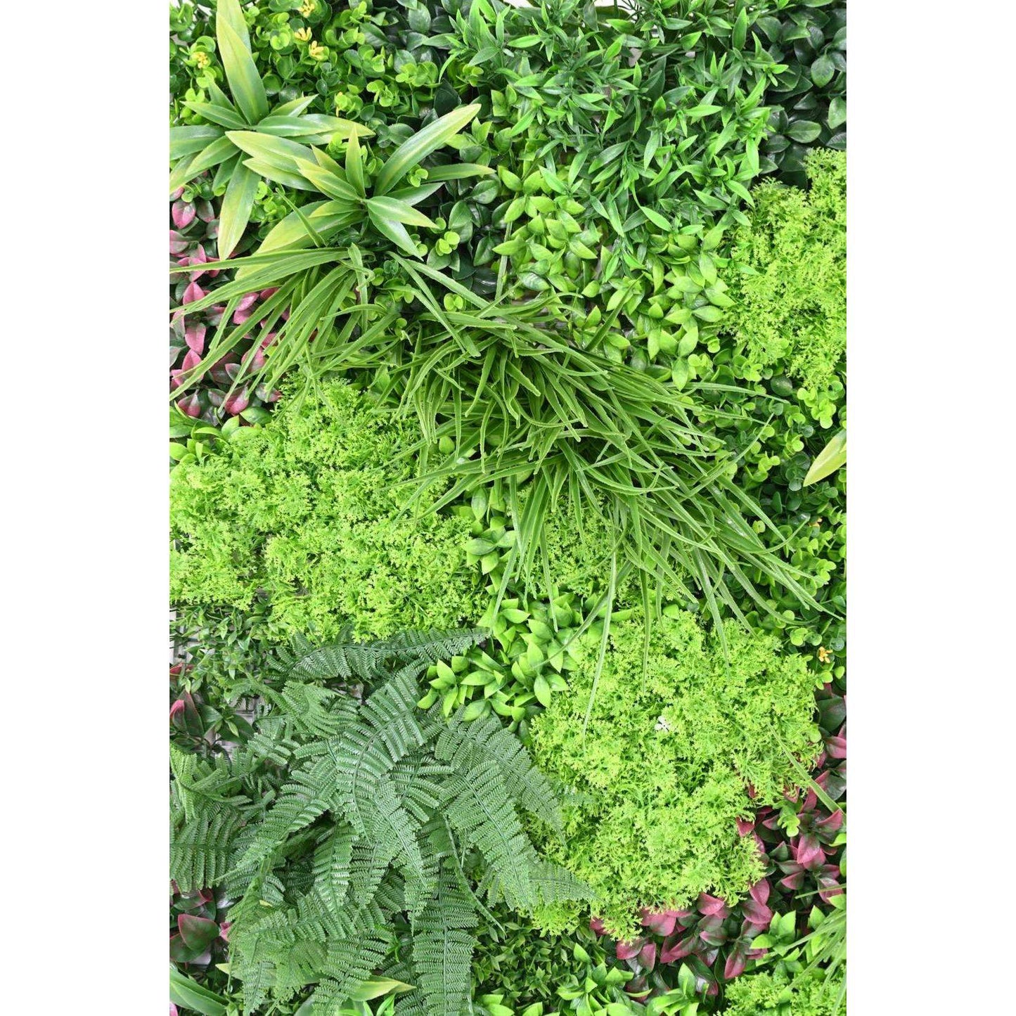 Plaque végétale artificielle K plantes UV résistant - décoration murale - 100x100cm