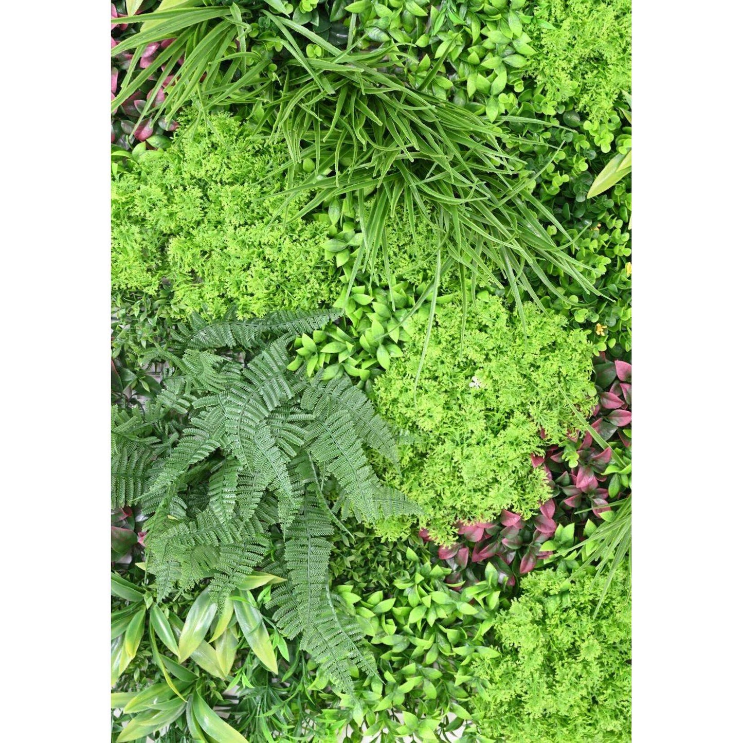 Plaque végétale artificielle K plantes UV résistant - décoration murale - 100x100cm