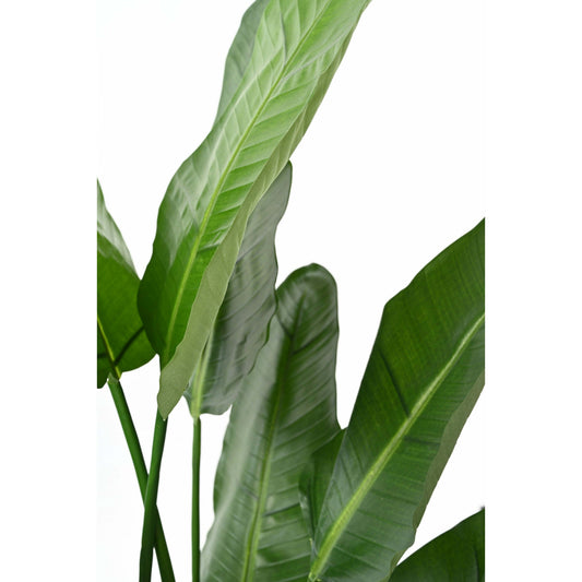 Plante artificielle Strelitzia Nicolai - décoration d'intérieur - H.150cm vert