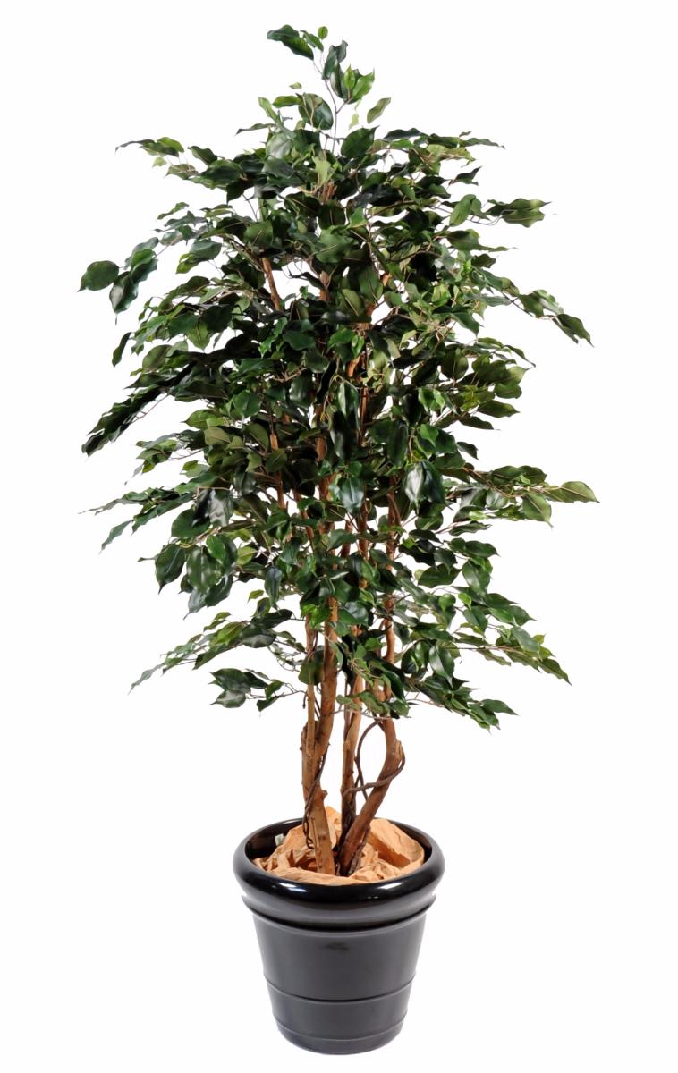 Arbre artificiel Ficus Exotica - plante d'intérieur - H.180 cm vert