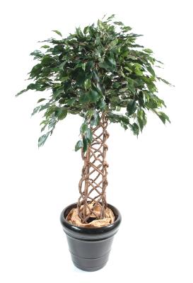 Arbre artificiel Ficus tronc cage - plante intérieure - H.140cm vert