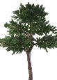 Arbre artificiel forestier Pin Luxe - arbre méditerranéen intérieur - H.400cm