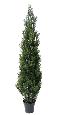 Arbuste artificiel Cyprès mini - intérieur extérieur - H.180cm vert