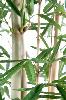 Bambou artificiel 3 cannes feuille large - intérieur - H.270cm