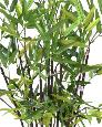 Bambou artificiel arbuste cannes noires - plante en pot d'intérieur - H.60cm vert