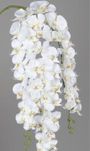 Chute d'Orchidée artificielle en piquet - décoration florale d'intérieur - H.115cm blanc