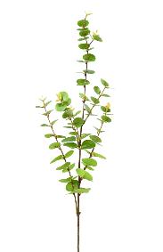 Feuillage artificiel Branche Eucalyptus - création de bouquet - H.95cm vert